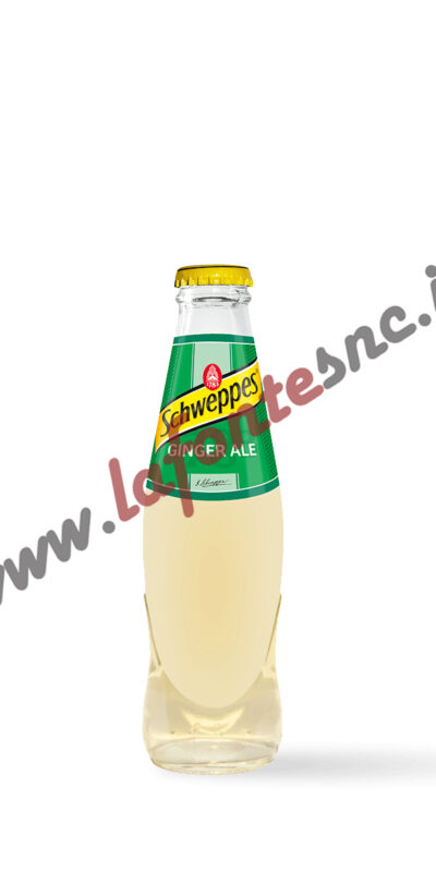 Schweppes Ginger Ale 18 cl. Vap - Confezione da 4 Bottigliette